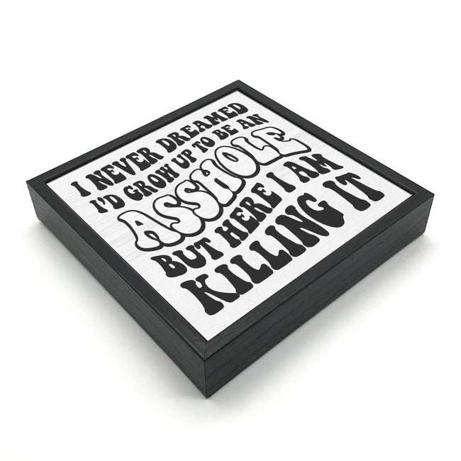 I Never Dreamed - Asshole | 'Chunky' Wood Sign