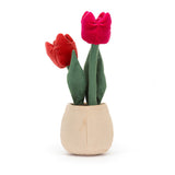 Amusable Tulip | Jellycat