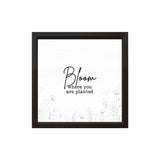 Bloom Where You Are Planted