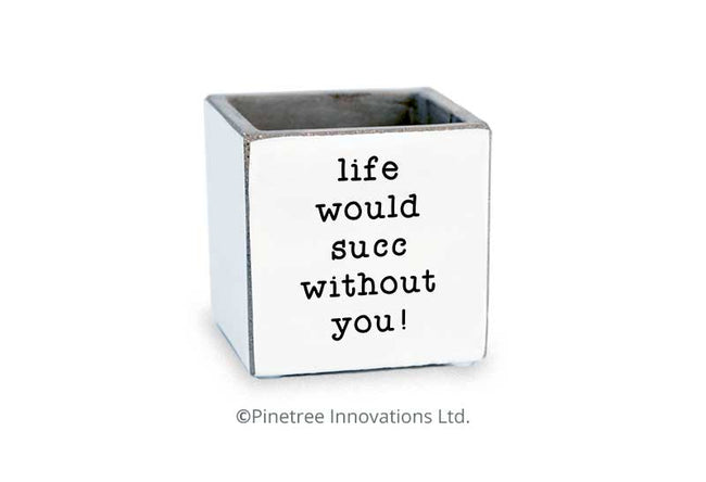 Life Would Succ Without You