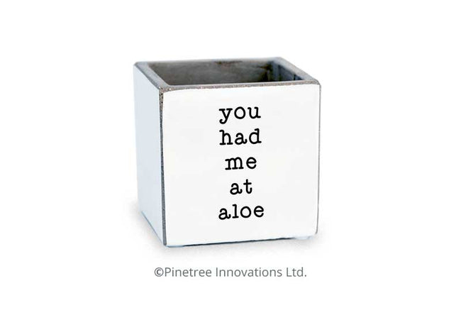 You had me at Aloe