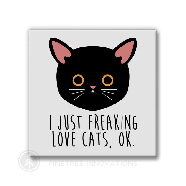 I Love Cats | Magnet