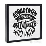 Apparently I Have an Attitude