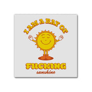 I'm A Ray Of Fucking Sunshine | Magnet