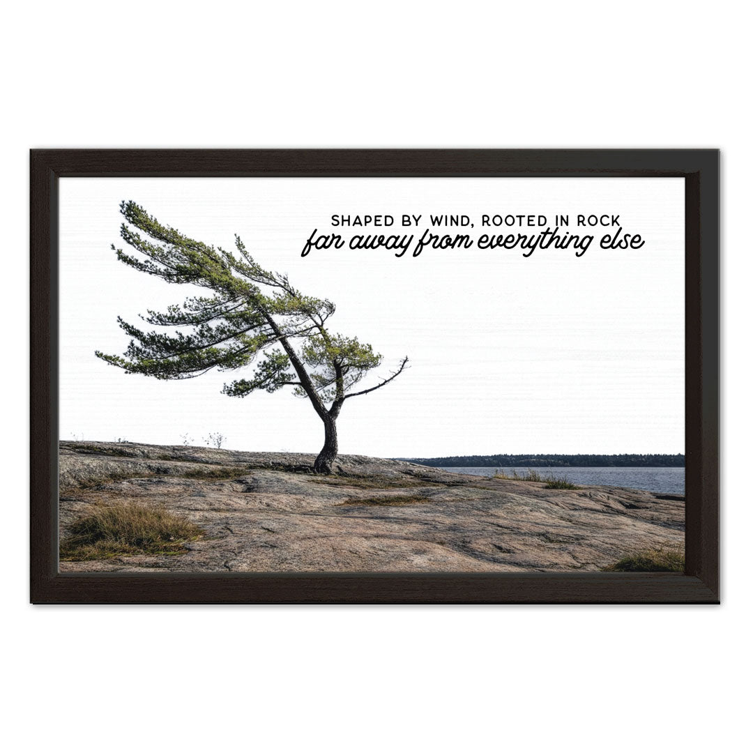 Shaped By Wind - Rooted By Rock | Wood Sign
