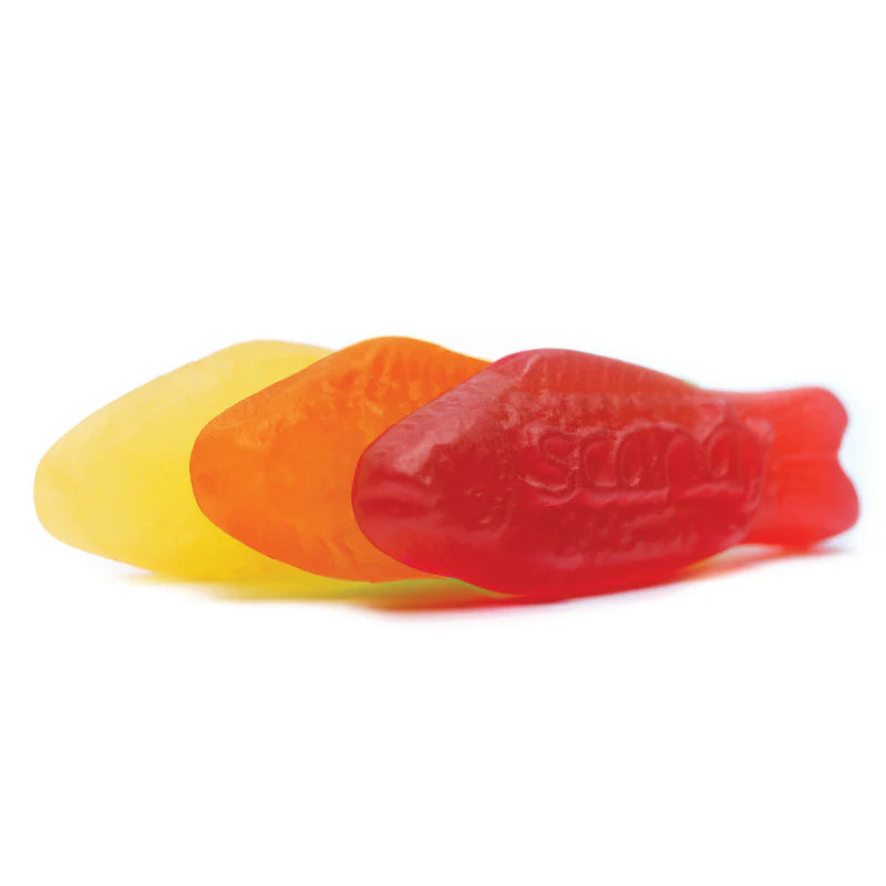 Scandy Fish | Candy