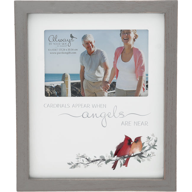 Cardinals Appear - Frame