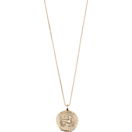 ZODIAC Sign Coin Necklace