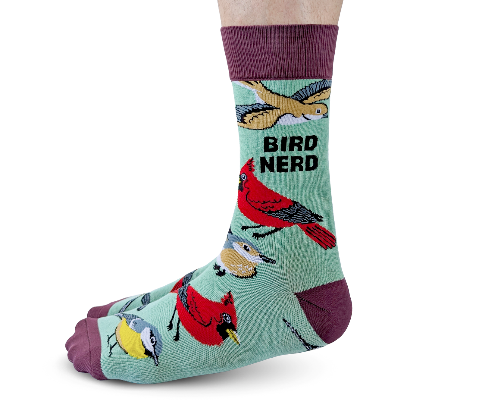 Bird Nerd | Mens Socks
