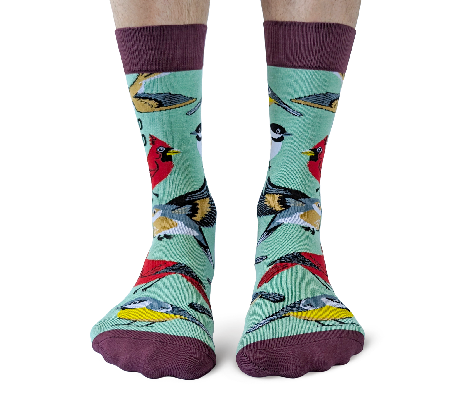 Bird Nerd | Mens Socks