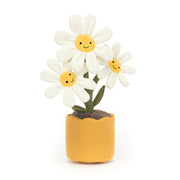 Amuseable Daisy | Jellycat