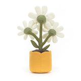 Amuseable Daisy | Jellycat