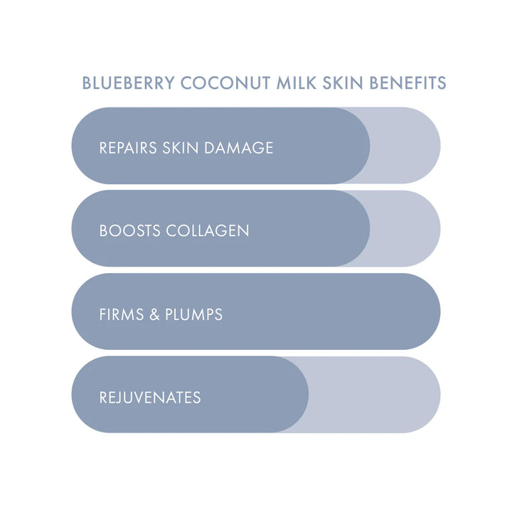 Blueberry Coconut Milk Plant-Based Milk Mask Filled PDQ