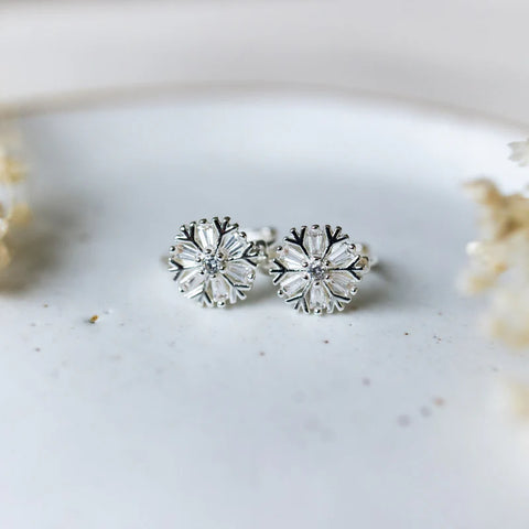 Frosted Hoops | Earrings