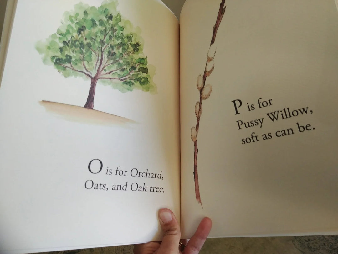 H Is For Home: A Saskatchewan Alphabet