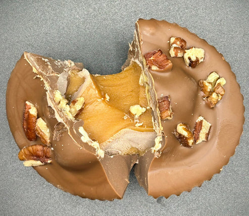 Jumbo Turtle Cup