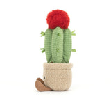 Amuseables Moon Cactus | Jellycat