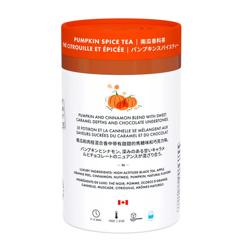 Pumpkin Spice Tea | Loose Leaf Tea