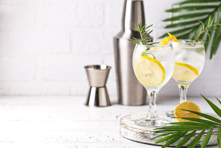 Lemon Gin Spritz | Drink Mix