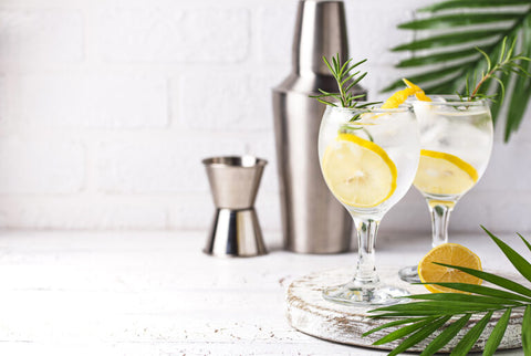 Lemon Gin Spritz | Drink Mix