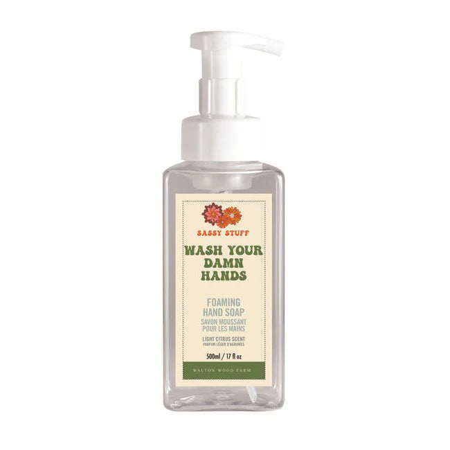 Wash Damn Hands Foam Soap