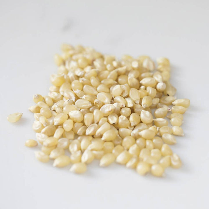 14oz Bottle of Medium White Popcorn