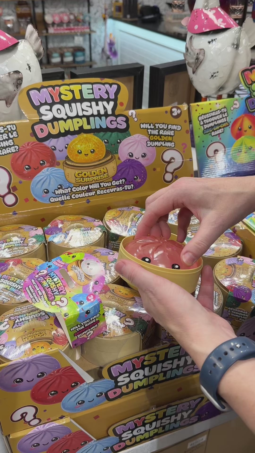 Squishy Dumpling Mystery - Golden Surprise