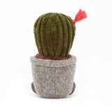 Silly Succulent Cactus | Jellycat