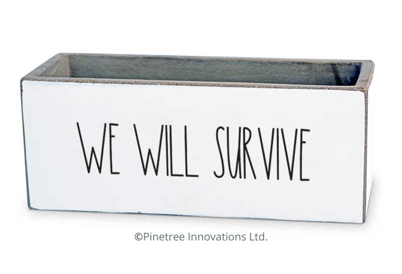 We Will Survive