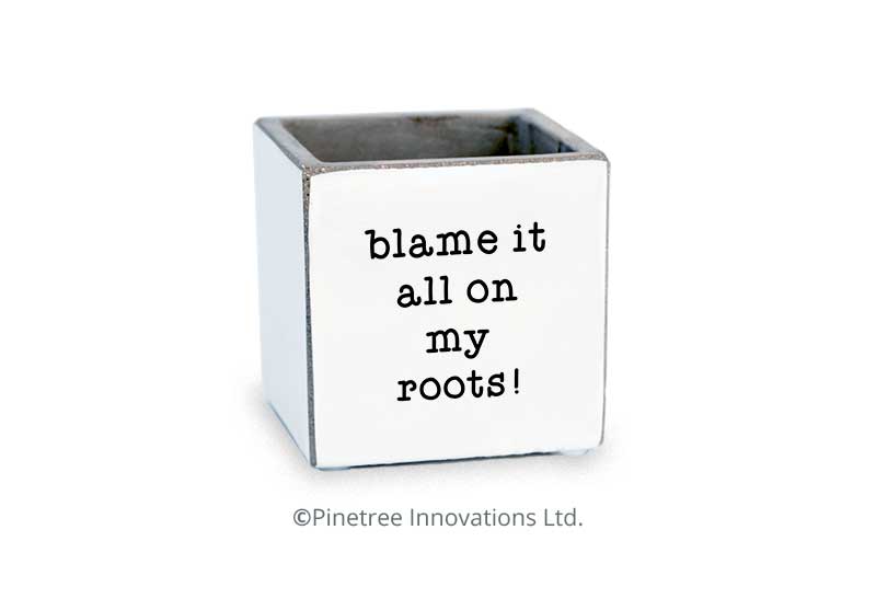 Blame It On My Roots