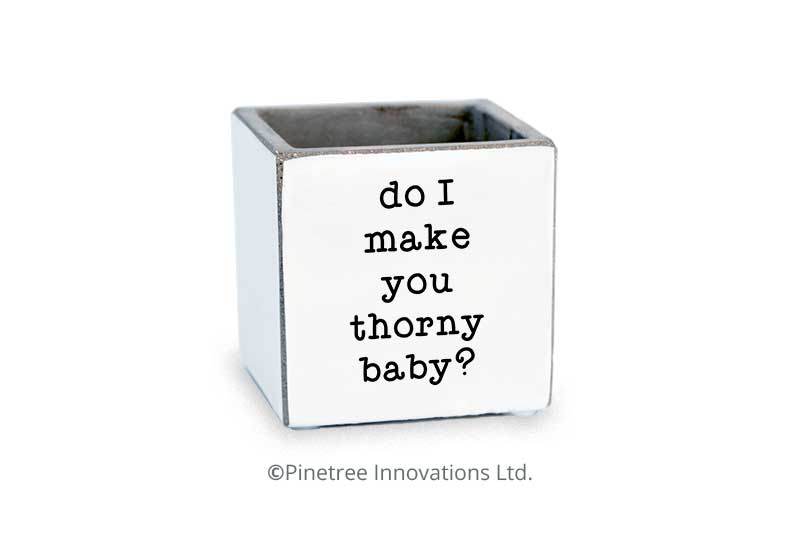 Do I Make You Thorny