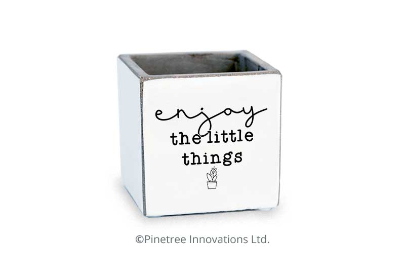 Enjoy The Little Things