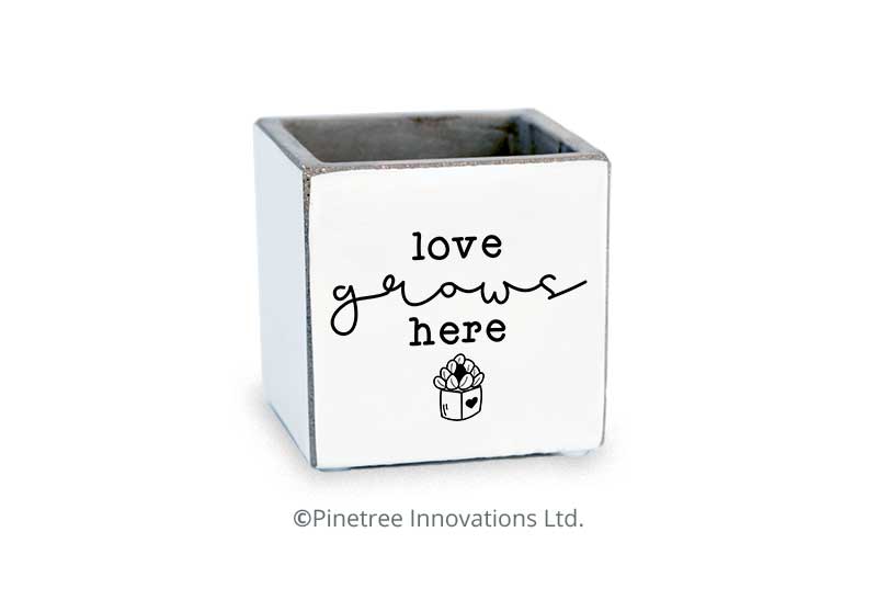 Love Grows Here