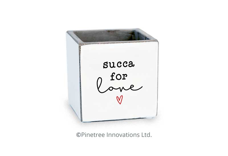 Succa For Love