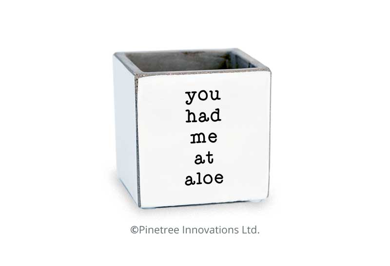 You had me at Aloe
