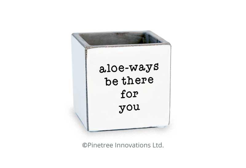 Aloe - Ways Be There For You