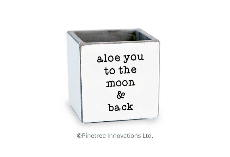 Aloe You To The Moon &amp; Back