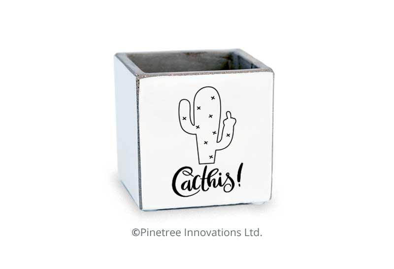 Cacthis
