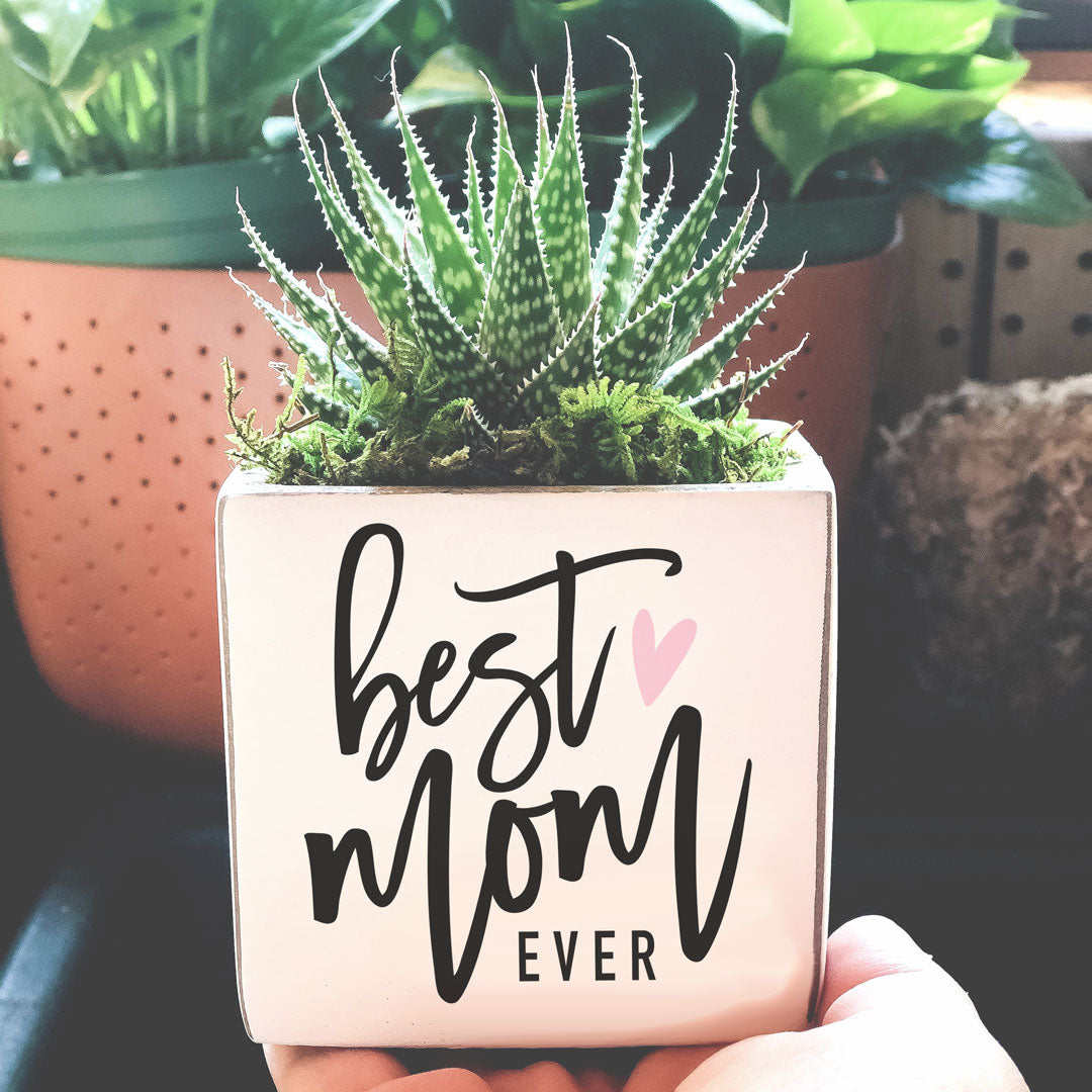 Best Mom Ever | Succulent Pot