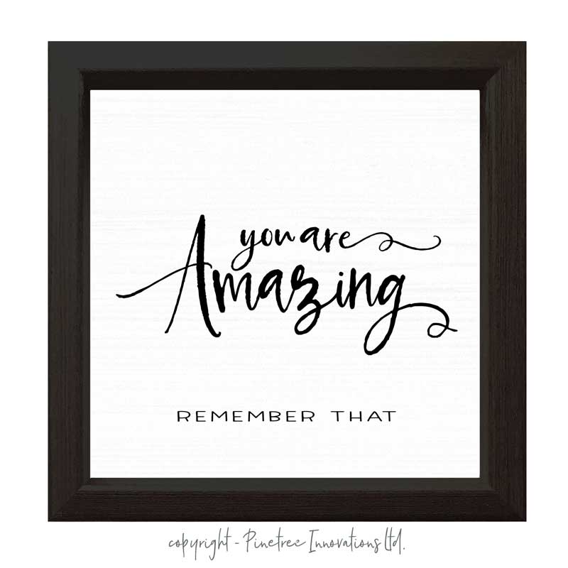 You Are Amazing | Wood Sign